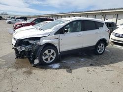 2015 Ford Escape SE en venta en Louisville, KY