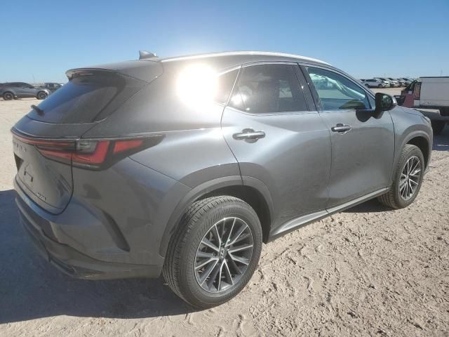 2025 Lexus NX 250 Base