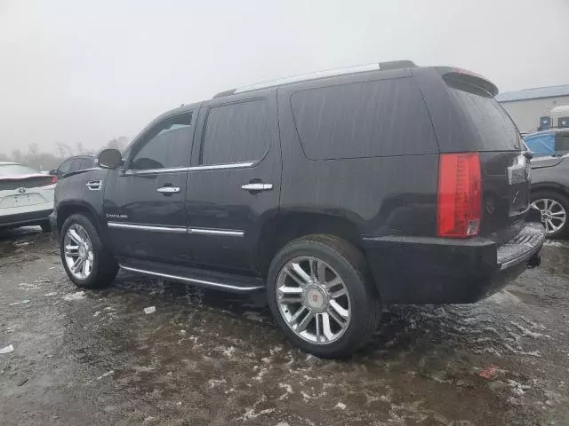 2008 Cadillac Escalade Luxury