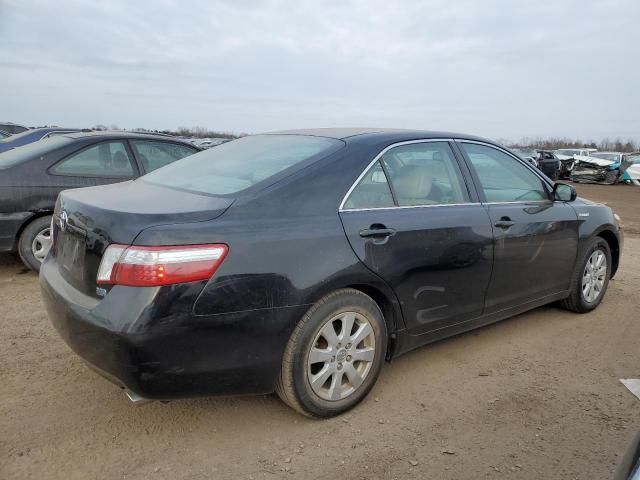 2009 Toyota Camry Hybrid