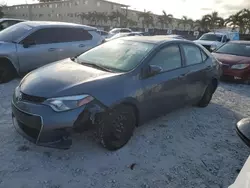 Toyota salvage cars for sale: 2014 Toyota Corolla L