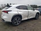 2020 Lexus NX 300H