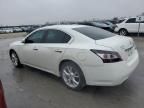 2013 Nissan Maxima S