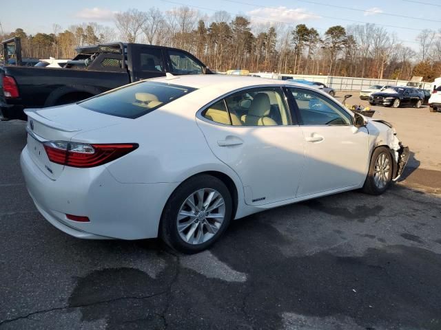 2014 Lexus ES 300H