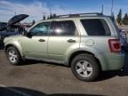 2008 Ford Escape HEV