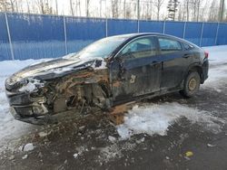 Salvage cars for sale at Moncton, NB auction: 2020 Honda Civic LX