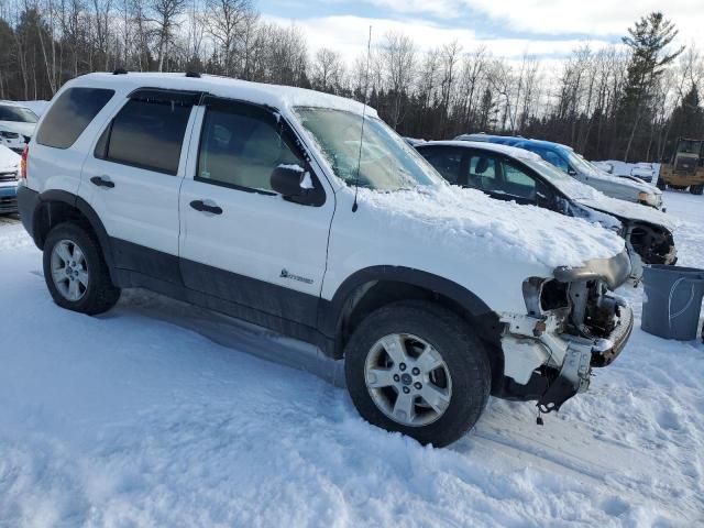 2006 Ford Escape HEV