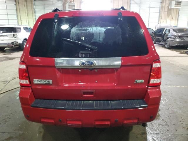 2011 Ford Escape Limited