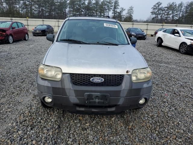 2007 Ford Escape XLT