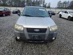 2007 Ford Escape XLT