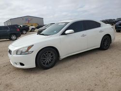 Salvage cars for sale at Amarillo, TX auction: 2014 Nissan Maxima S