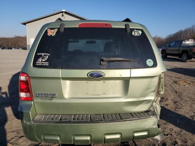 2008 Ford Escape XLT