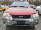 2001 Ford Escape XLS