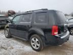 2013 Honda Pilot EX