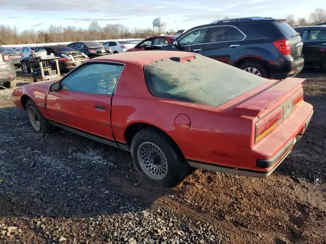 1986 Pontiac Firebird