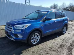 Salvage cars for sale at Windsor, NJ auction: 2018 Ford Escape SEL