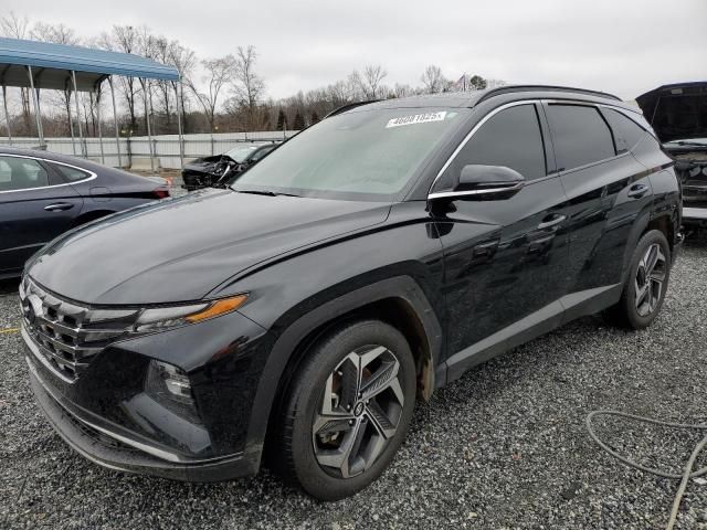 2023 Hyundai Tucson Limited