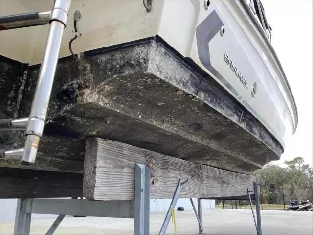 2023 Bayliner VR6 BR