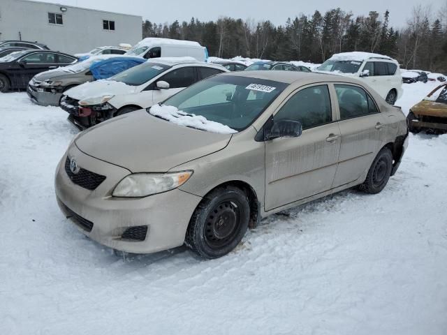 2010 Toyota Corolla Base