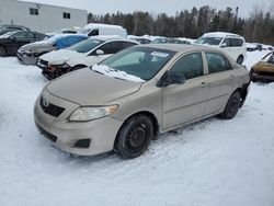 Salvage cars for sale from Copart Cookstown, ON: 2010 Toyota Corolla Base