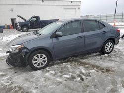 Toyota Corolla l salvage cars for sale: 2014 Toyota Corolla L