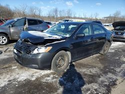 Salvage cars for sale at Marlboro, NY auction: 2009 Toyota Camry Base