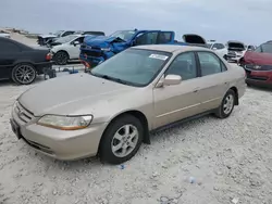 Salvage cars for sale at Taylor, TX auction: 2001 Honda Accord LX