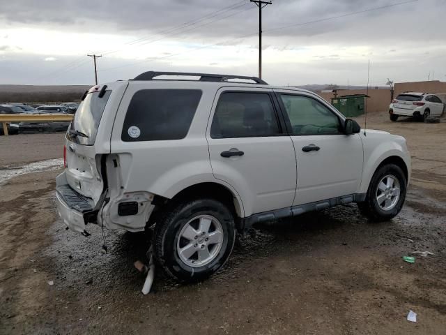 2011 Ford Escape XLT