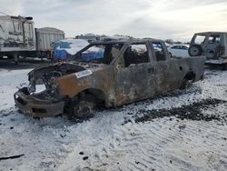 Salvage cars for sale at Ham Lake, MN auction: 2005 Ford F150