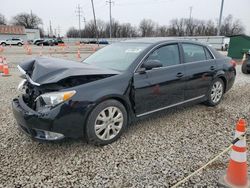 Salvage cars for sale at Columbus, OH auction: 2011 Toyota Avalon Base