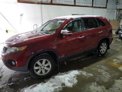 Salvage cars for sale at Lexington, KY auction: 2011 KIA Sorento Base