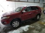 2011 KIA Sorento Base