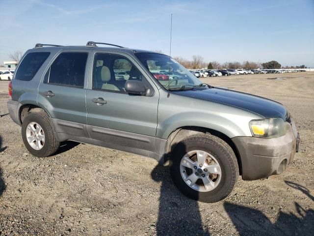 2006 Ford Escape XLT