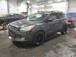 Salvage cars for sale at Ottawa, ON auction: 2016 Ford Escape SE