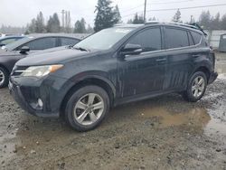 Salvage cars for sale at Graham, WA auction: 2015 Toyota Rav4 XLE