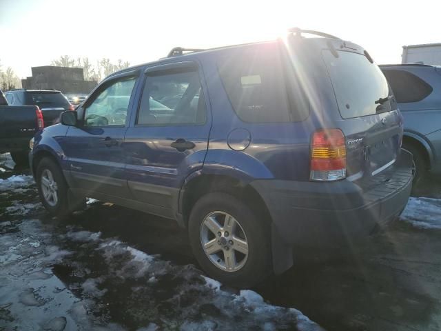 2006 Ford Escape HEV