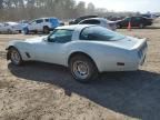 1981 Chevrolet Corvette