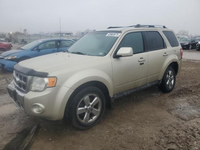 2011 Ford Escape Limited