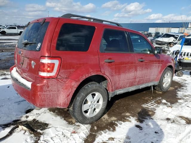 2010 Ford Escape XLT