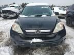 2009 Honda CR-V EXL