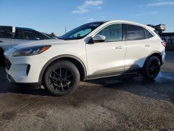 Salvage cars for sale at North Las Vegas, NV auction: 2020 Ford Escape SE