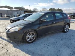 Salvage cars for sale at Loganville, GA auction: 2014 Ford Focus SE