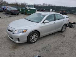 Toyota salvage cars for sale: 2010 Toyota Camry Hybrid