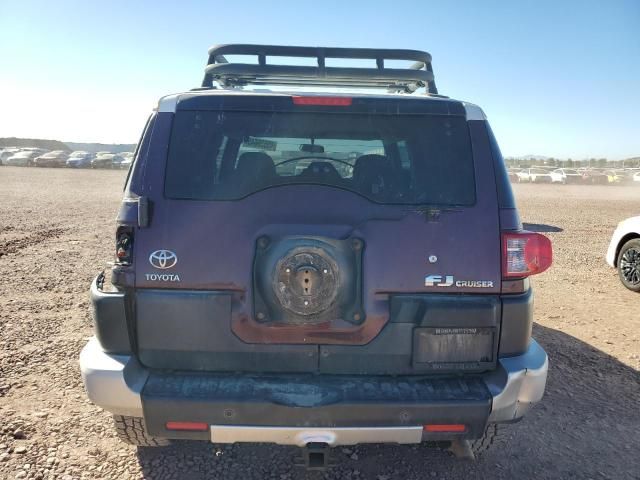 2007 Toyota FJ Cruiser