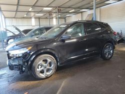 Salvage cars for sale at Brighton, CO auction: 2024 Ford Escape ST Line