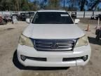 2011 Lexus GX 460 Premium