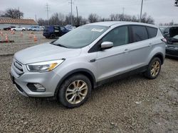 Salvage cars for sale at Columbus, OH auction: 2017 Ford Escape SE