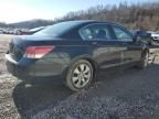 2010 Honda Accord EX