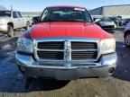 2005 Dodge Dakota Quad SLT