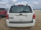 2012 Ford Escape XLS